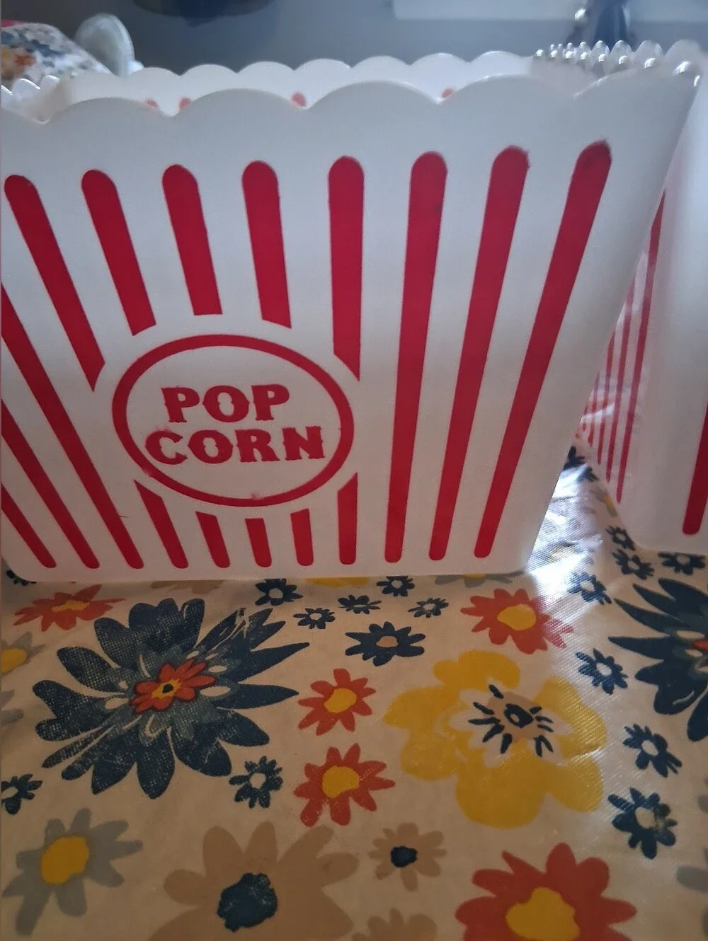 Classic Red & White Large Hard Plastic Popcorn Containers - 2-Pack